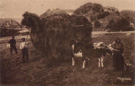 Ramassage du foin à Châteauneuf (Annet VEYSSIERE)
