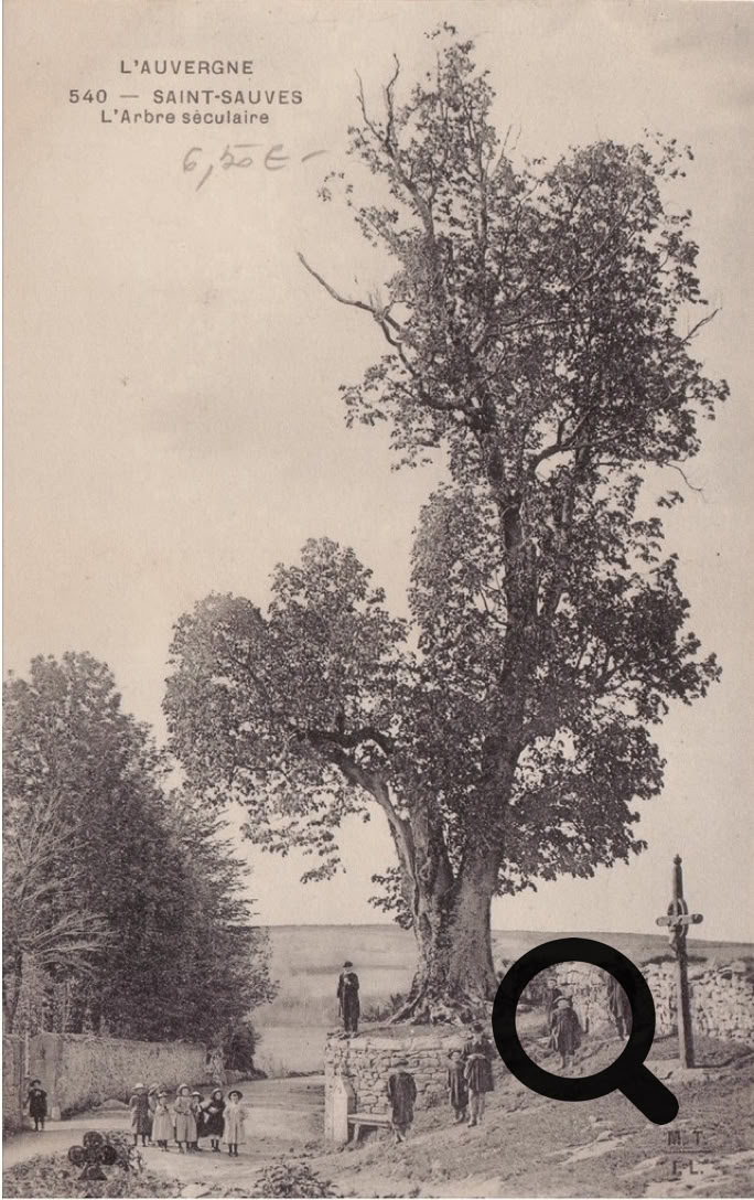 Vieil arbre imposant entouré de quelques personnes, avec une croix en bois au premier plan et un paysage rural en arrière-plan.