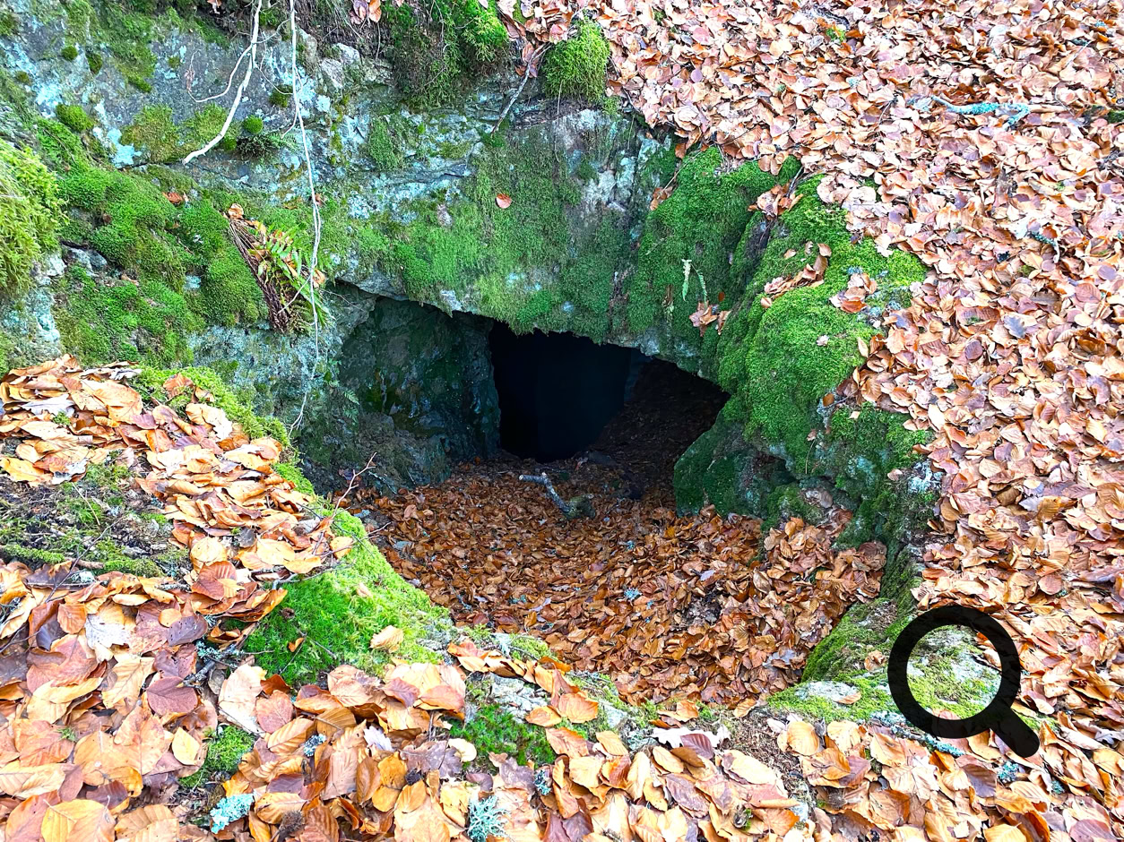 Entrée d'une grotte recouverte de mousse verte entourée de feuilles mortes.