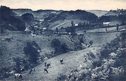 Vallée de Saint-Sauves 