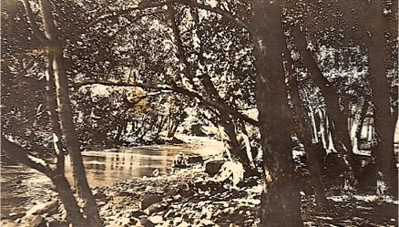 L'île aux mouches