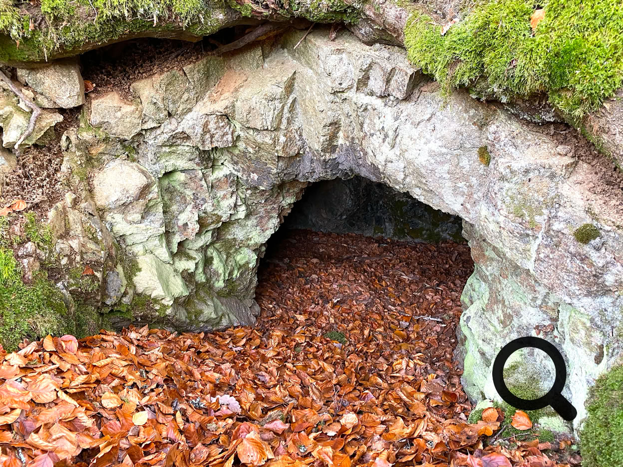 Entrée d'une petite grotte entourée de rochers et de mousse, avec des feuilles mortes au sol.
