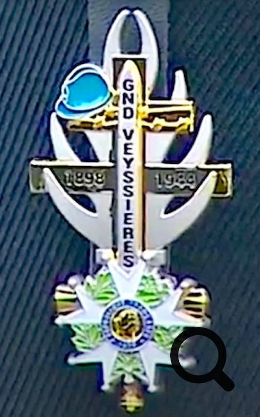 Insigne militaire avec une ancre, une épée, et une étoile ornée de feuilles vertes et d'un cercle central bleu.