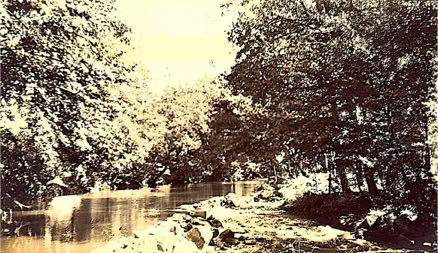 L'île aux mouches